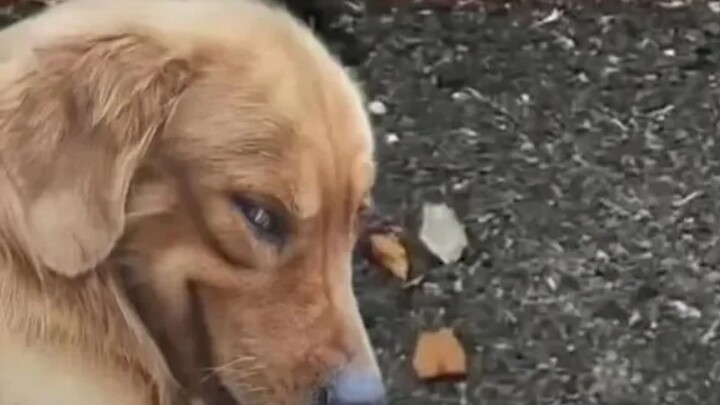 أنا أبسط واحد في فريقنا ولا أعرف الحيل.