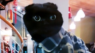 千岁岁的大汽车！