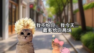 黄毛也有好黄毛