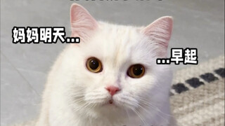 It seems all the dirty tricks have been used on Mom!