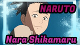 NARUTO
Nara Shikamaru
