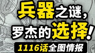 Informasi lengkap peta One Piece 1116! Perilaku misterius Bajak Laut Roger! Apakah senjata kuno "Ura