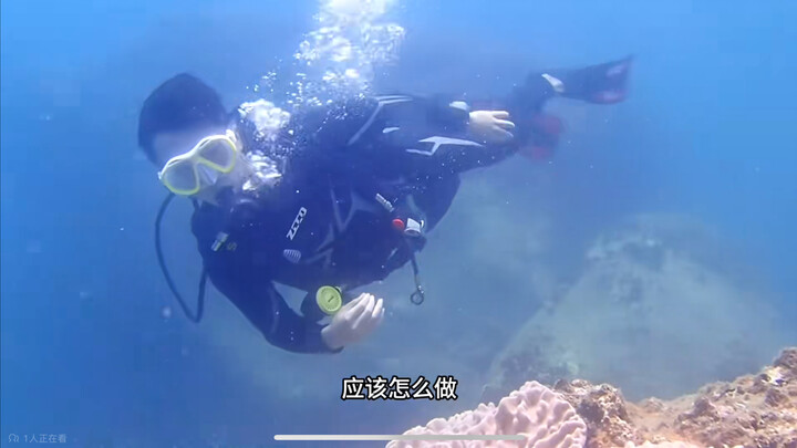 لأول مرة في حياتي أقوم بالغوص، وأدركت حكمة فلسفية.