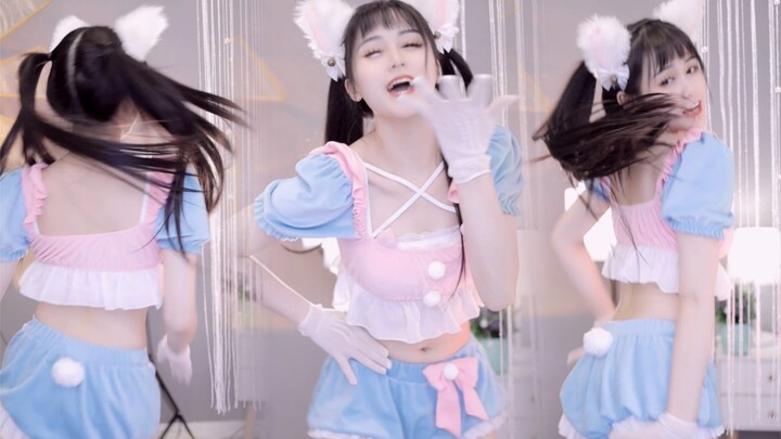 Meong meong meong? .... .... .... .... Kawaii～～～～【Kamu Xiaojia】