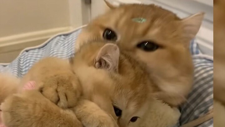 “Selamanya dan selamanya tetap jadi bayi kecil Mama, ya!”