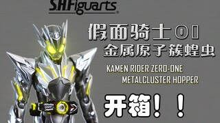 银色即正义 ？！  SHF假面骑士01 金属原子簇蝗虫