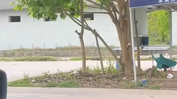 这就是召唤教练最快的方法了吧