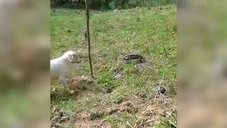 Cười ra nước mắt với những tình huống này #38