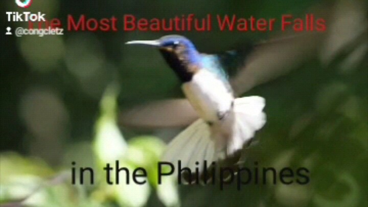 likas na yaman sa pilipinas