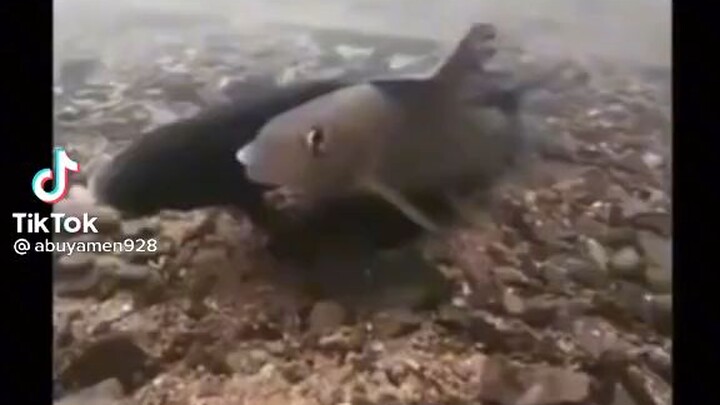 ลองกดเข้าไปดูสิดูให้จบ#