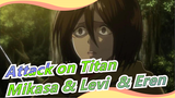 [Attack on Titan]Mikasa menjadi balistik dan Levi datang untuk menyelamatkan Eren yang diambil