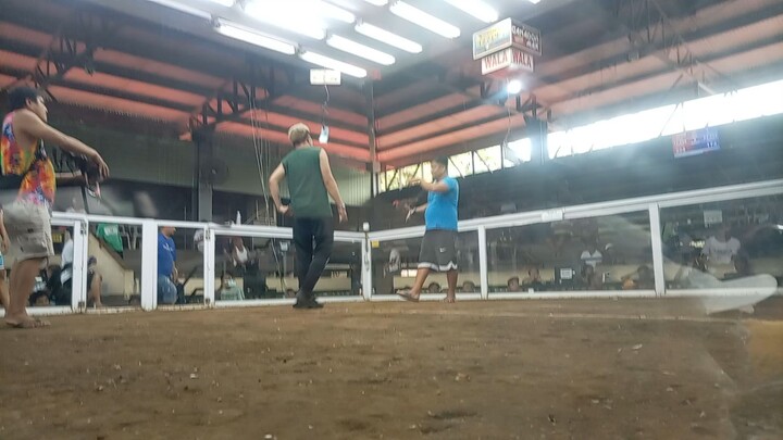 1x 2nd fight lost