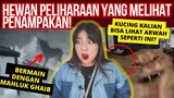 KASUS HEWAN2 YANG LIHAT HANTU! | #NERROR