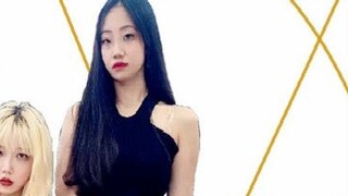 [VẤN ĐỀ]AOA-Giống như một con mèo, lặng lẽ bước đến bên bạn trên bước đi của mèo, chân dài, giày cao