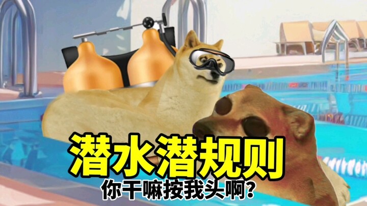 Unwritten rules of scuba diving...