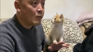 So this is what a little cat surrounded by love looks like!