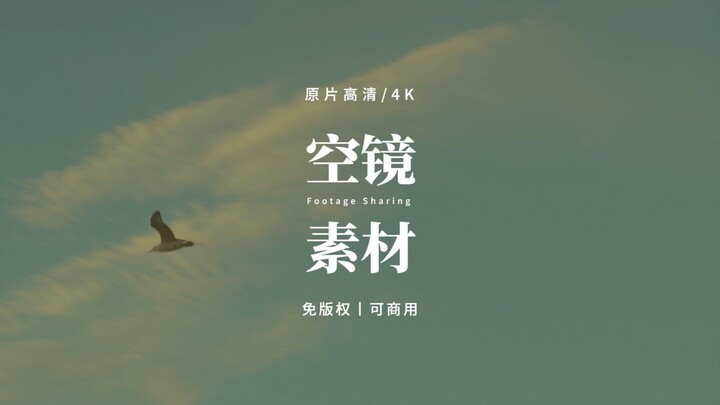 【免版权空镜】“Simple day”