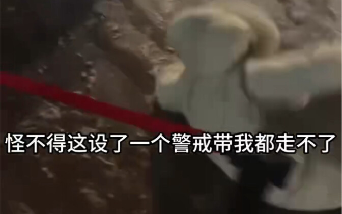 Bạn học, ở đây không được ngủ 😪