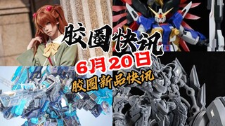 【6月20日胶圈快讯】