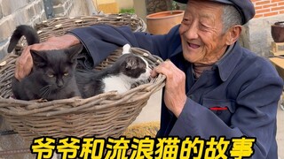 The kitten with grandpa is like a treasure