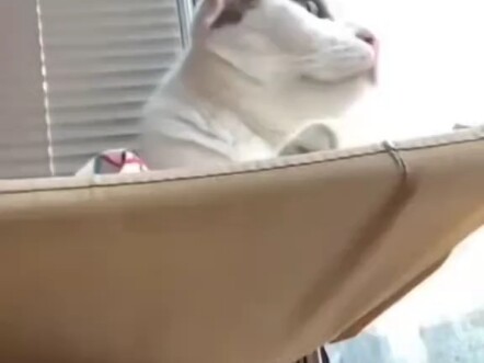 لا تلمسني بيدك أو قدمك!