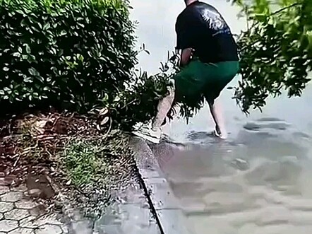 พี่ชายที่แสนดี