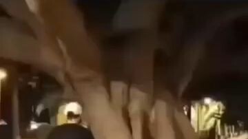 🐥: kita di liatin Icik bos