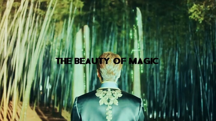 the beauty of magic || multifandom
