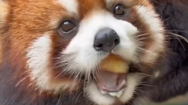 So cute! Feels like it tastes so delicious.