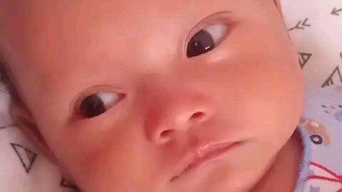 bayi lucu