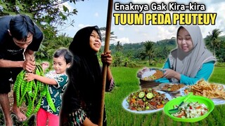 Panen PETE.. MASAK TUUM PEDA PETE, TUMIS KOL TERASI, GORENGAN, MASAKAN KAMPUNG