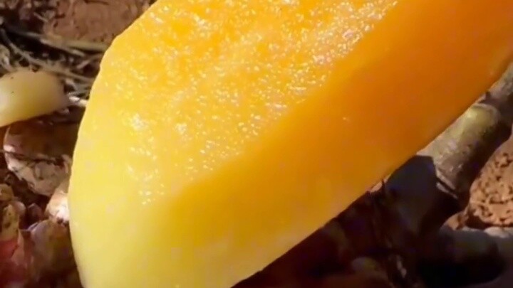 Mainland Youth 4 Traveling through Douluo...