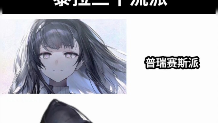 泰拉三个流派