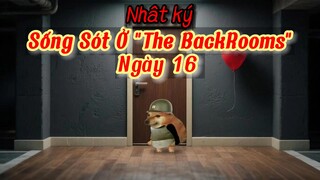 Nhật Ký|Sống Sót Ở "The BackRooms"! (Ngày 16)
