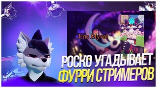 🐺 Роско смотрит MysticFoxR - Угадай Фурри-Стримера по Его Голосу!