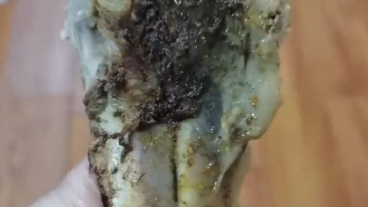 Tulang rusuk yang dibeli untuk anjing sudah dipanggang matang, tapi sang majikan berubah pikiran dan