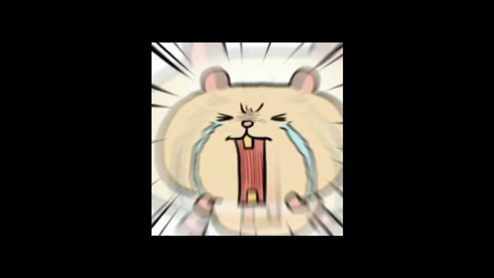 猫猫：不敢睁开眼，希望是我的幻觉