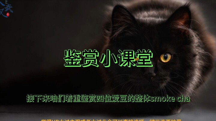 【舞蹈鉴赏】Smoke学开课！专门瑞萍某四位爱豆的Smoke Cha丨瑞萍系列第四期丨街头女战士伪番外篇