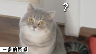 Sea Cucumber Farming Farm: 2022's Most Memorable Moments - Annual Recap