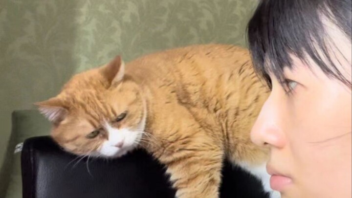 和姜阿姨的眼神battle！