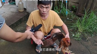 [Mengapa harus membunuh ayam yang baik?] Kamu telah melakukan terlalu banyak dosa, jadi kamu membunu