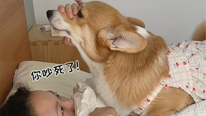 Is dog ownership like what you imagined?