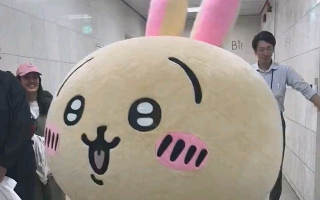 Báo cáo! Một chú thỏ dễ thương đã xuất hiện ở Ga Tokyo!