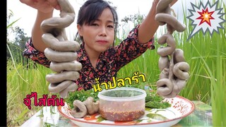 จุ๊ไส้ตัน น้ำปลาร้า เผ็ด แซ่บ นัว ยอดมะระขมๆสไตส์อินางลัย24 สิงหาคม ค.ศ. 2020