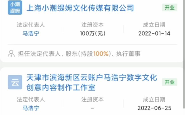 Tiểu Triều hóa ra lại mở tới 4 công ty, phó tổng lại chính là Hải Hoàng!