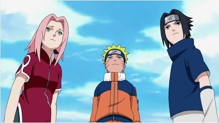 team 7