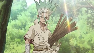 Dr. Stone 「AMV」Solo