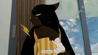 “与小猫再次相遇，小猫一见钟情...大猫猫绷不住了~”