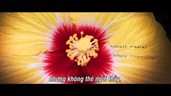 Mùi hương đã mất Full Movie [Sub Việt]