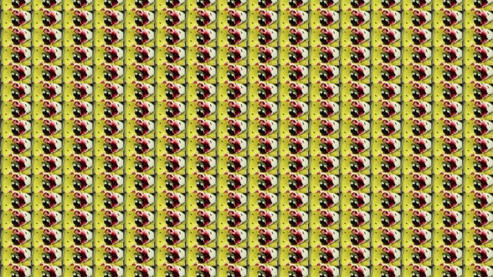 Brother, do I look like someone who hasn’t been to school?